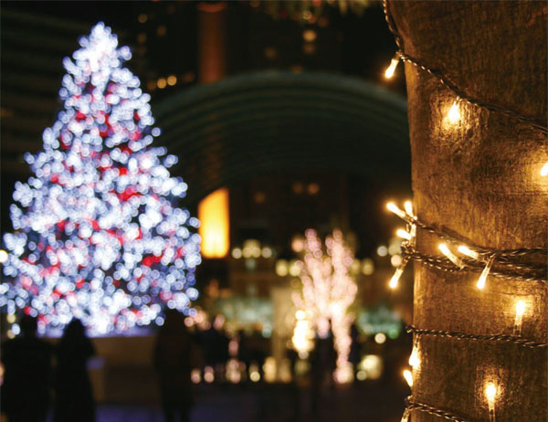 �N���X�}�X�E�C���~�l�[�V����