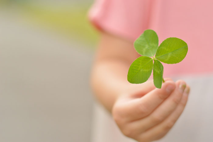 �l�t�̃N���[�o�[