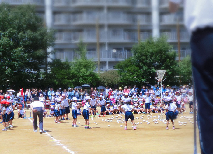 ���w�Z�^����