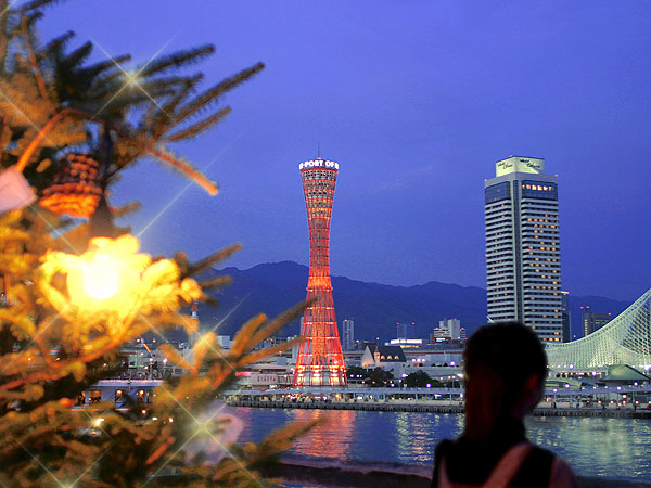 �C���[�W�ʐ^